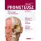 PROMETEUSZ Atlas anatomii człowieka Tom III. Głowa, szyja i neuroanatomia. Mianownictwo ANGIELSKIE i POLSKIE