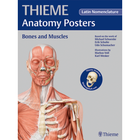Plakat Anatomy Poster Prometheus Bones and Muscles 