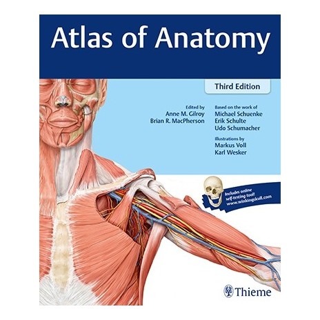 Gilroy 3.ed. Atlas of Anatomy