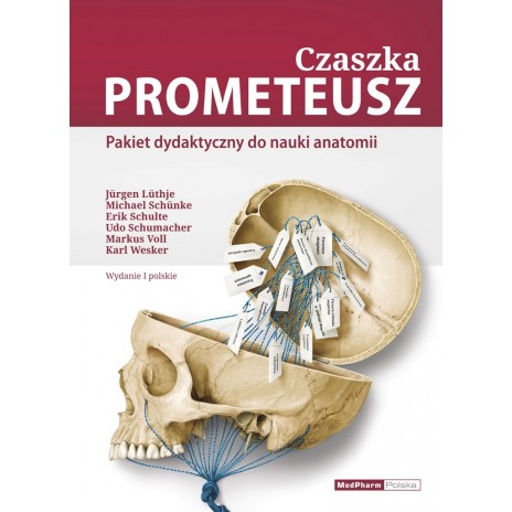 Czaszka PROMETEUSZ - Pakiet dydaktyczny do nauki anatomii